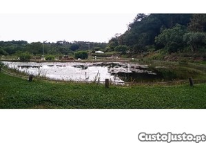 imagem_9