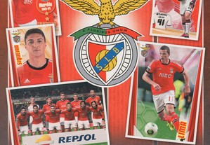 imagem_2
