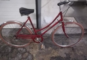 Bicicleta Raleigh.