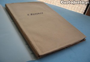 imagem_8