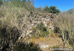 Terreno Com 7.7 Ha E Três Ruínas Em Britelo,...