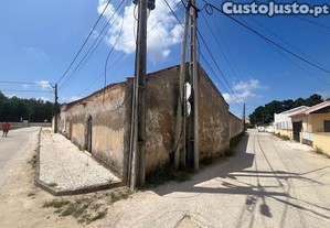 imagem_7