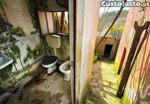 imagem_19
