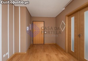 imagem_13