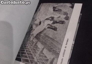 imagem_10