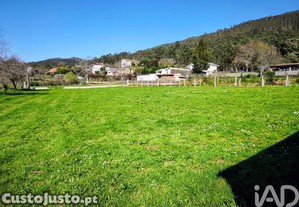 imagem_21
