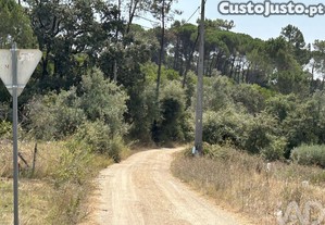 imagem_33