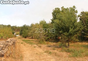 Terreno Para Construção E Exploração Agrícola...