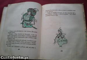 imagem_3