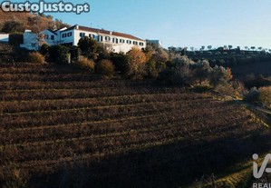 imagem_23