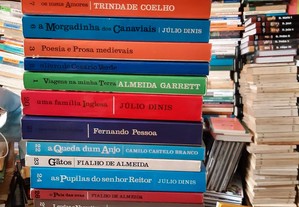 imagem_8