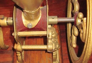 imagem_7