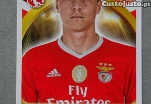 imagem_1