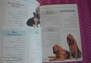 imagem_7