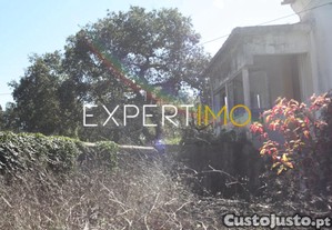 imagem_22
