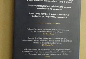 imagem_5