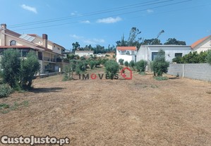 imagem_8