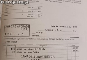 imagem_7