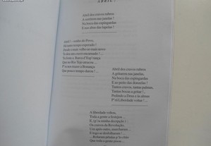 imagem_7
