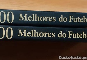 imagem_8