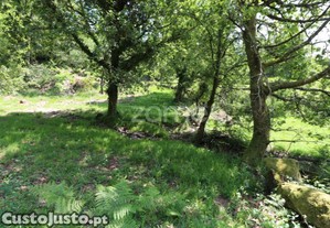 Terreno Rústico Em Barbeitos (Álvora)