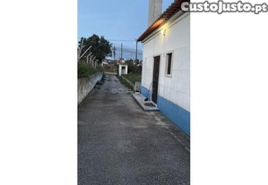 imagem_13