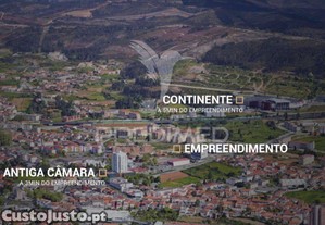 imagem_11