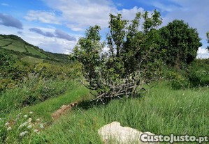 imagem_9
