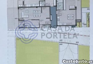 imagem_20