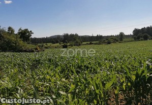 Terreno Rustico Agrícola Com 4.000 M2 Em...