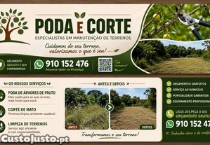 Limpeza de terrenos e poda de árvores de fruta