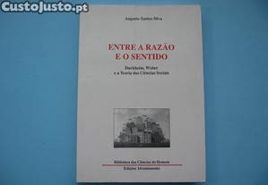 Entre a Razão e o Sentido - 2001