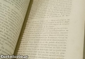 imagem_11