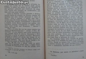 imagem_8