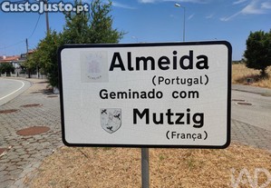 imagem_15