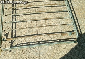 imagem_7