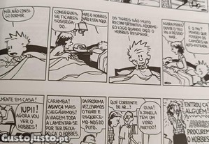 imagem_5