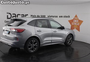 imagem_7