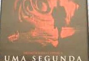 imagem_8