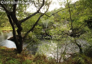 imagem_37