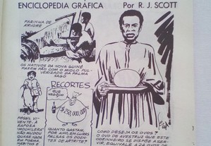 imagem_2