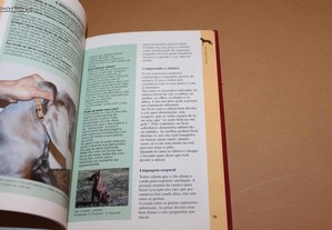 imagem_6