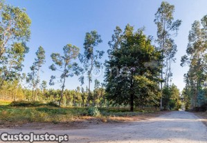 Terreno Rústico Com 7.900 M2 Em Monte Córdova -...