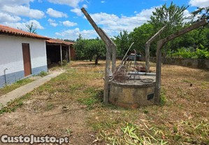 imagem_22