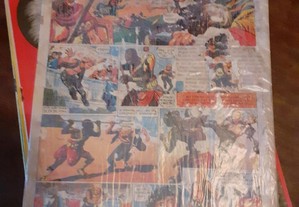 imagem_4
