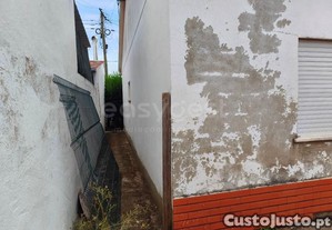 imagem_19