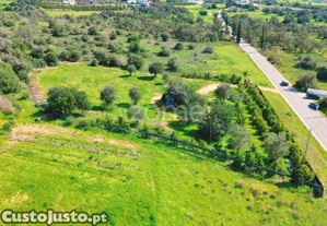 Terreno Rústico Vedado, Com Eletricidade E Agua...
