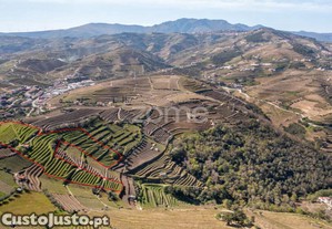 Terreno Com 9 121 M2 Situado Em S. Marta De...