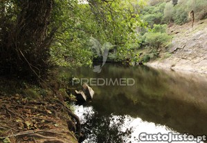 imagem_38