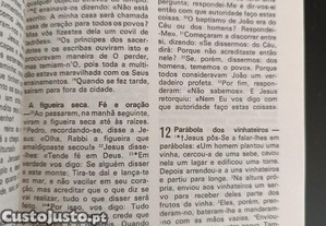 imagem_5